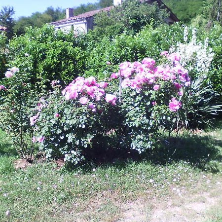 L'Ancien Patronage Guest House Caumont-sur-Garonne Ngoại thất bức ảnh