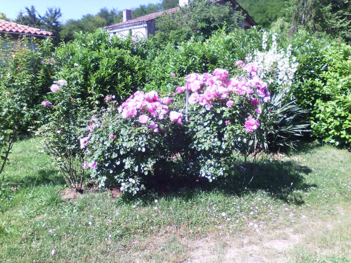 L'Ancien Patronage Guest House Caumont-sur-Garonne Ngoại thất bức ảnh