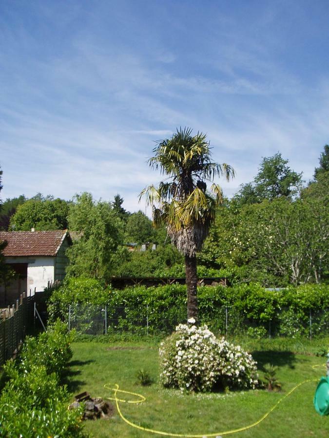 L'Ancien Patronage Guest House Caumont-sur-Garonne Ngoại thất bức ảnh